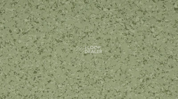 Линолеум Mipolam Affinity 4427 Pine Forest фото 1 | FLOORDEALER